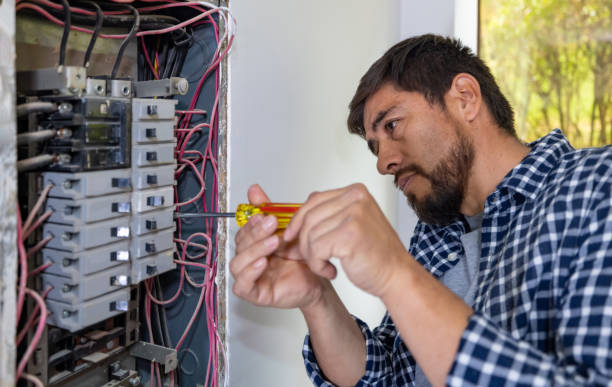 Best Electric Panel Repair  in Agua Dulce, TX